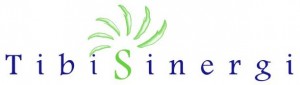 logo-tibis-300x85