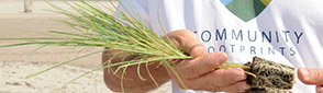 Social Enterprises